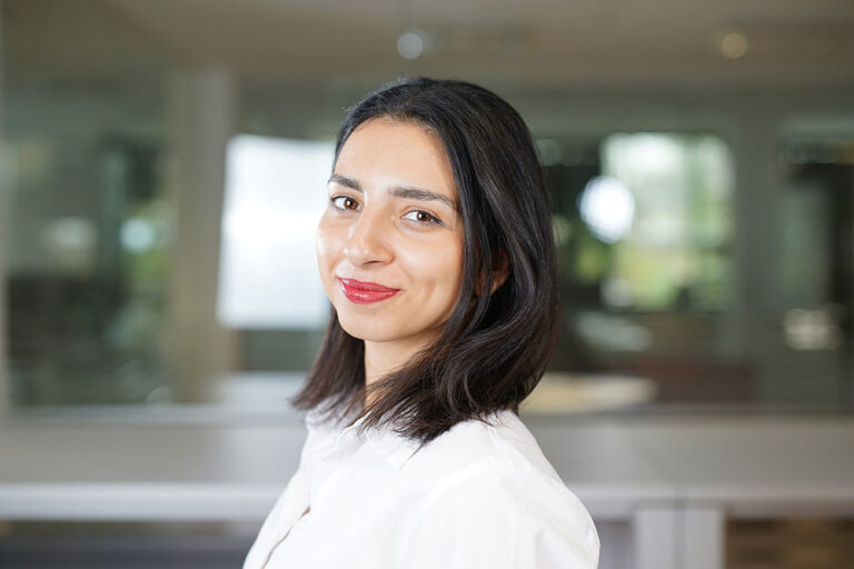 Irina, Low-Code Development